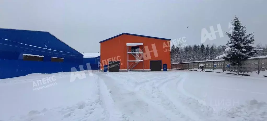 Склад в Московская область, Пушкинский городской округ, д. Талицы 58 ... - Фото 1