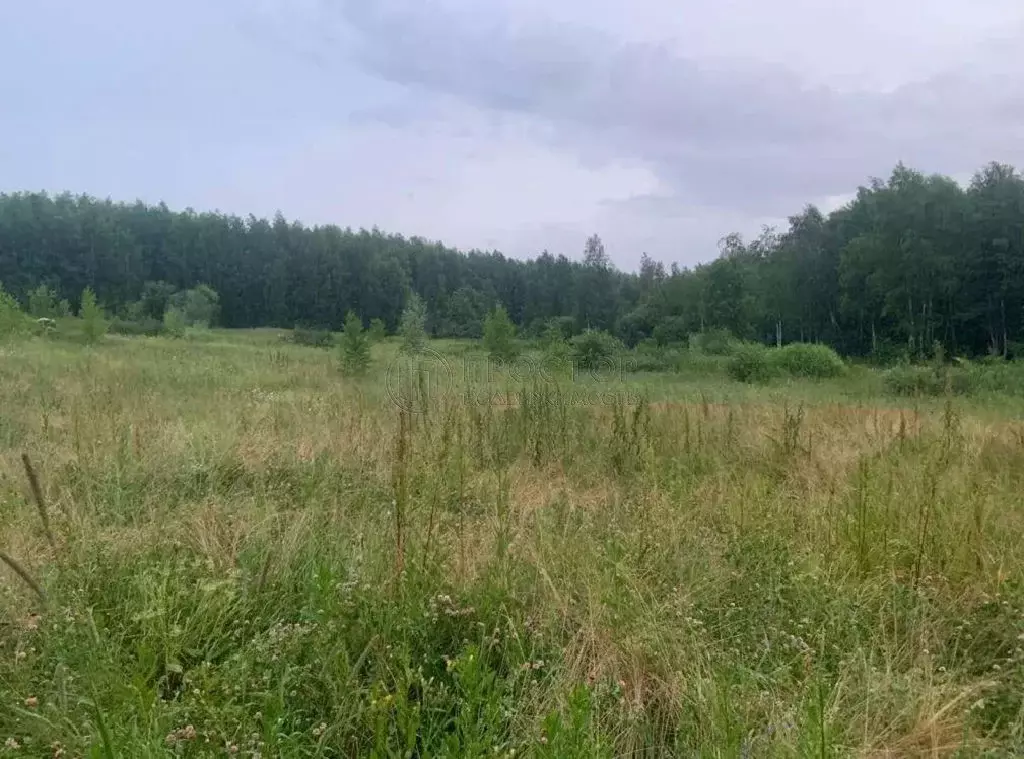 Продается участок в д. Никулино - Фото 1
