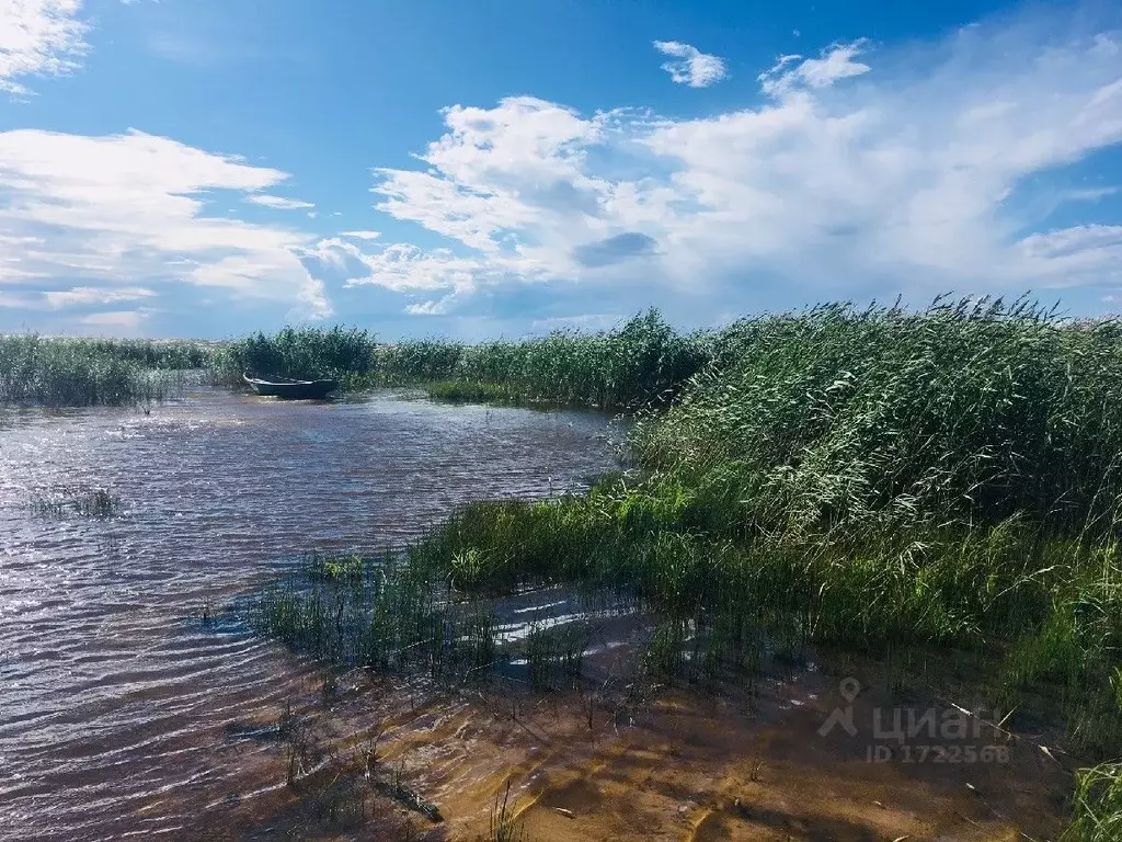 Участок в Псковская область, Гдовский район, д. Стропицы  (591.0 сот.) - Фото 1