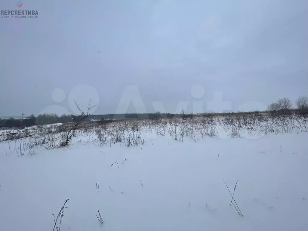 Купить Земельный Участок В Алексине Тульской Области