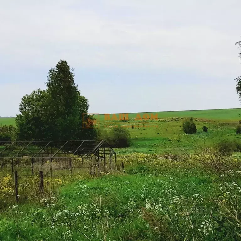 Участок в Тульская область, Тула городской округ, д. Барыбинка  (10.13 ... - Фото 2