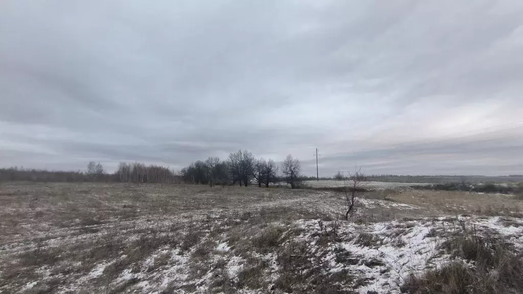 Участок в Саратовская область, Красный Октябрь рп  (790.0 сот.) - Фото 2