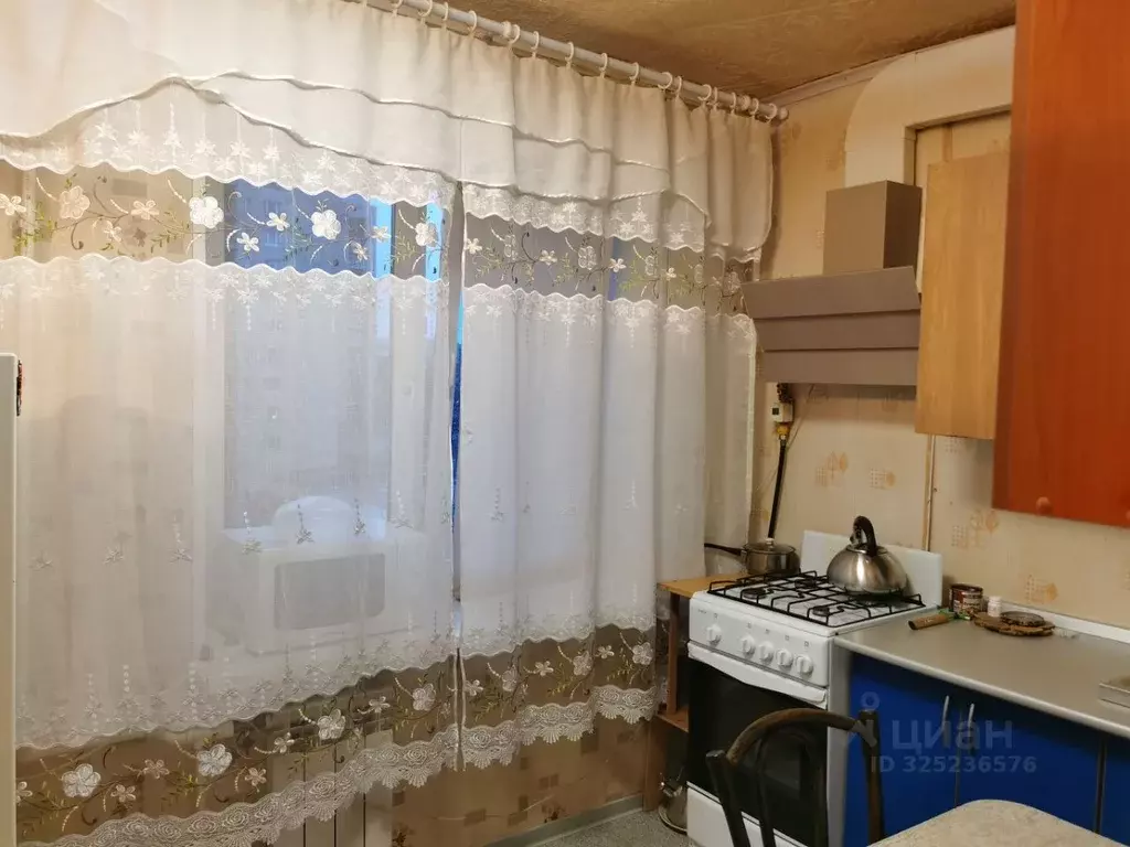 1-к кв. Санкт-Петербург, Санкт-Петербург, Петергоф Чебышевская ул., ... - Фото 2