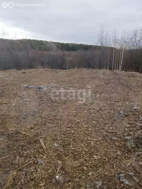 Участок в Миасс, коллективный сад Ольховый (6.2 м) - Фото 1