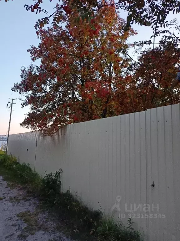 Дом в Ханты-Мансийский АО, Сургут Север-1 СТ,  (34 м) - Фото 2