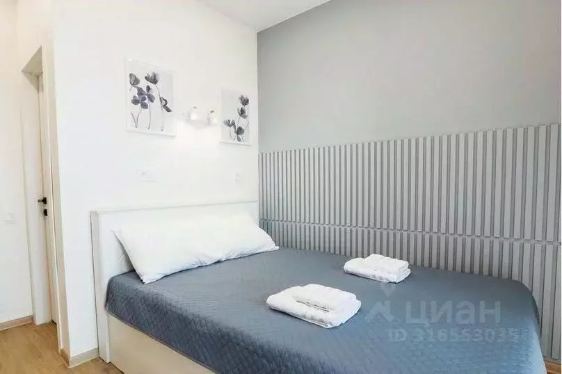 1-к кв. Иркутская область, Иркутск ул. Ивана Доронина, 9 (18.0 м) - Фото 1