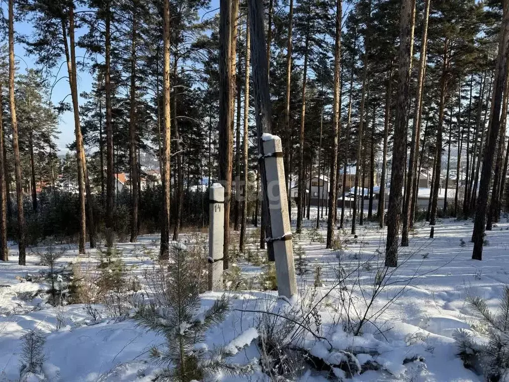 Участок в Бурятия, Улан-Удэ пос. Светлый, ул. Живописная (7.4 сот.) - Фото 1