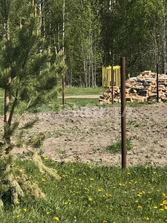 Участок в Тюменская область, Нижнетавдинский муниципальный округ, с. ... - Фото 1