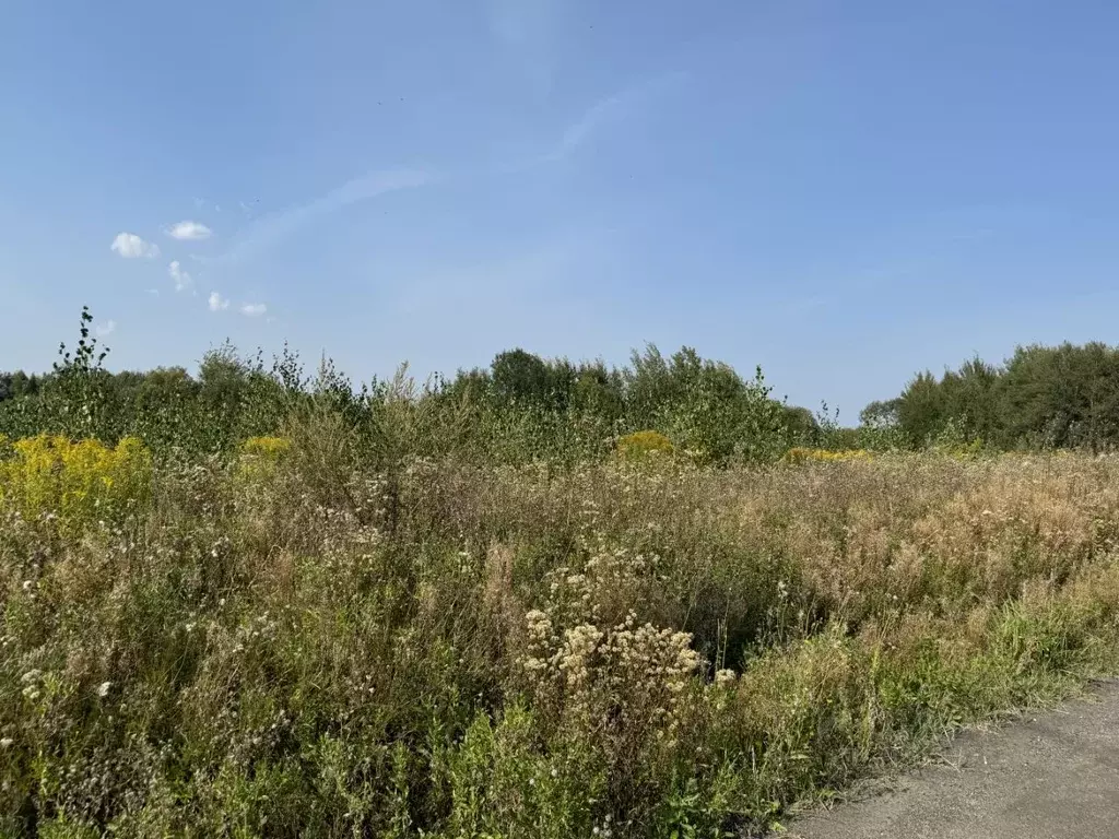 участок в московская область, воскресенск городской округ, с. юрасово . - Фото 0