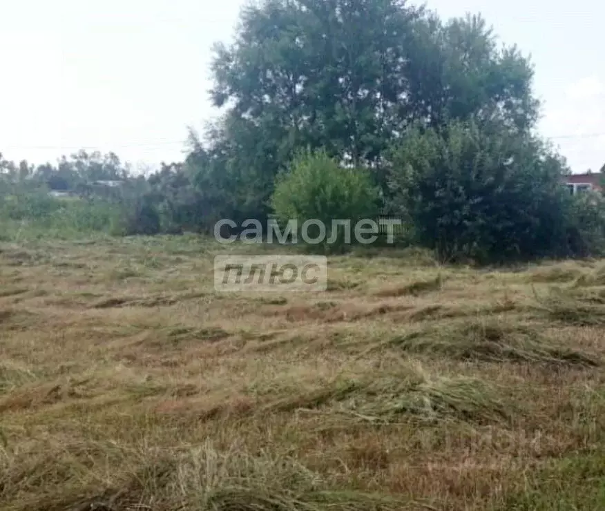 Участок в Хабаровский край, Хабаровск ул. 2-я Надежда-7 (6.0 сот.) - Фото 0