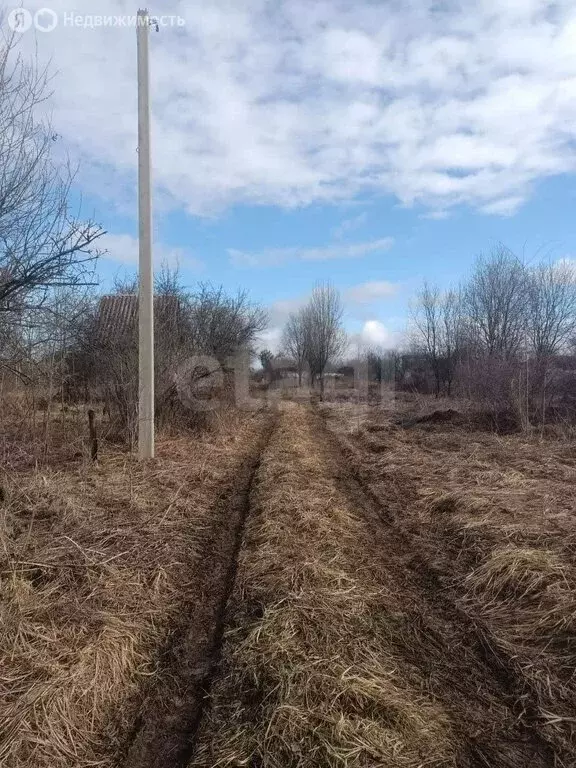Участок в село Толмачево, СДТ Калинка (6.54 м) - Фото 1