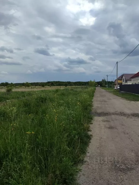 Участок в Калининградская область, Гурьевский муниципальный округ, ... - Фото 1