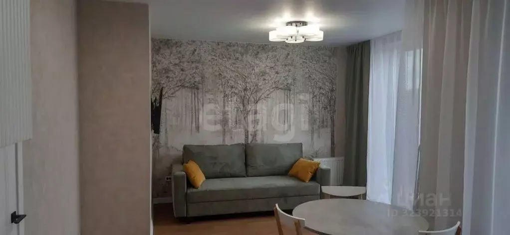 1-к кв. Новосибирская область, Новосибирск Красный просп., 167/3 (39.0 ... - Фото 1