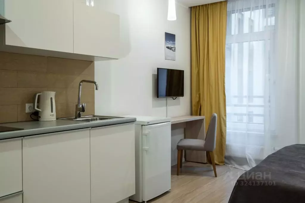 Студия Санкт-Петербург ул. Академика Павлова, 7 (26.5 м) - Фото 2