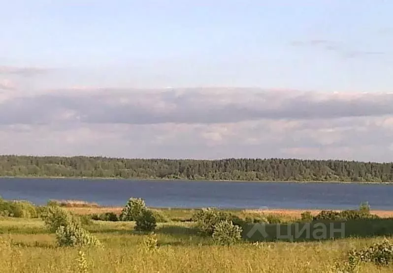 Участок в Псковская область, Пушкиногорский район, Велейская волость, ... - Фото 1