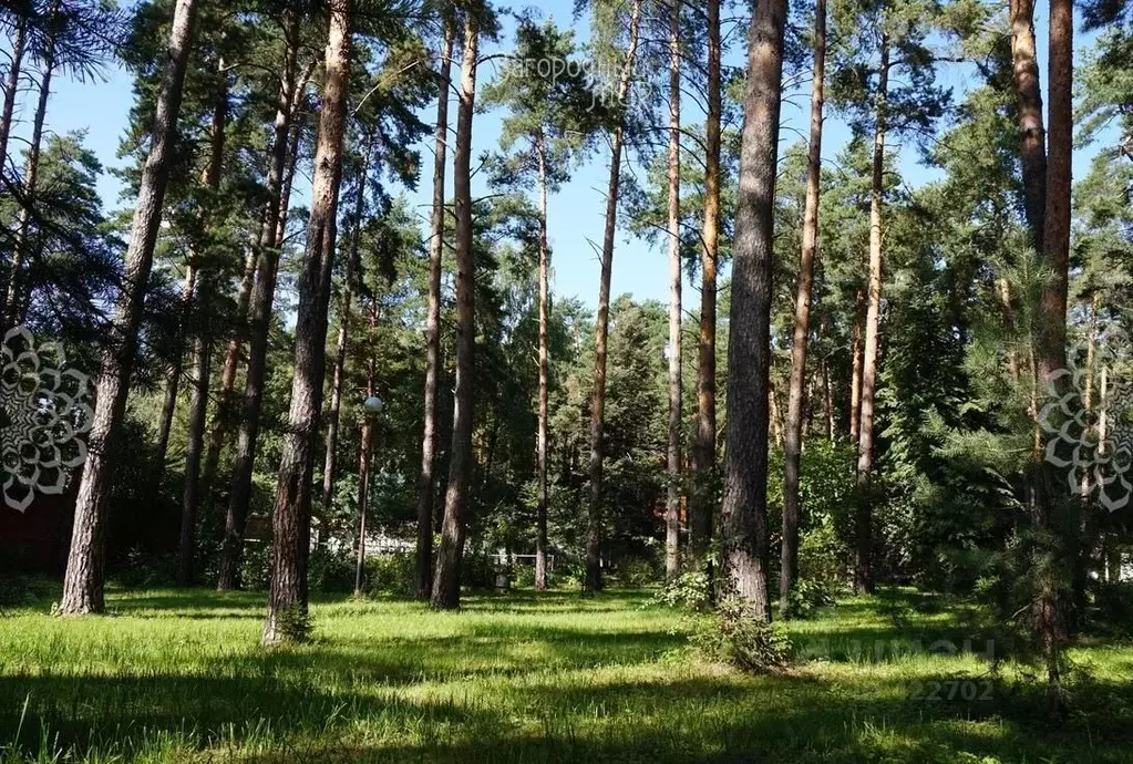 Участок в Московская область, Люберцы городской округ, Малаховка рп, . - Фото 0
