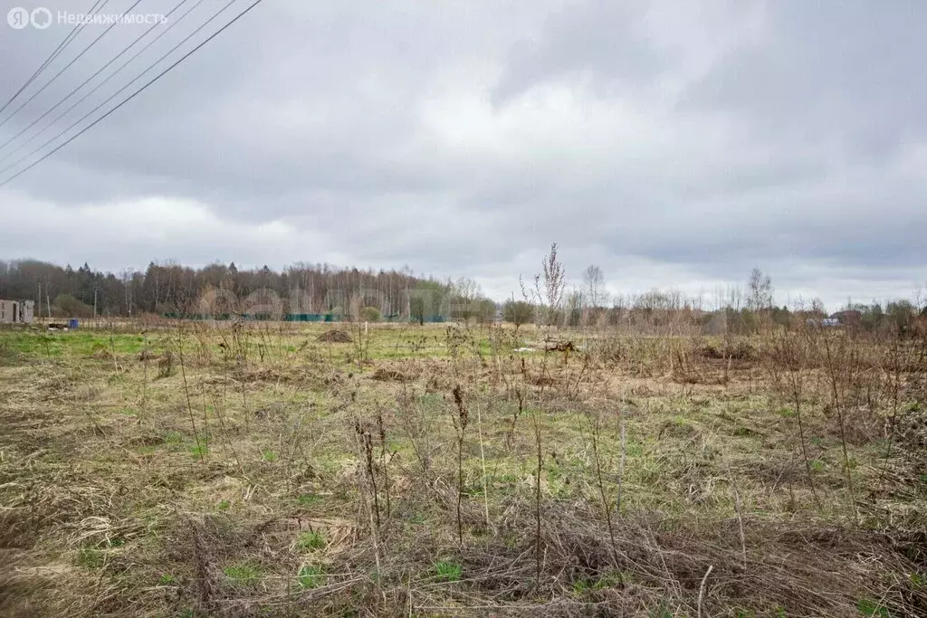 Участок в Московская область, городской округ Солнечногорск, КП ... - Фото 1