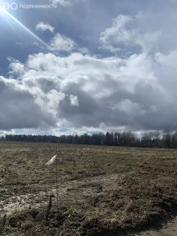 Участок в Московская область, городской округ Клин, деревня Соголево, ... - Фото 0