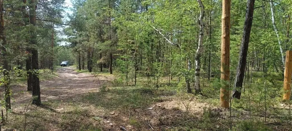 Участок в Саха (Якутия), Якутск городской округ, с. Маган  (6.0 сот.) - Фото 1