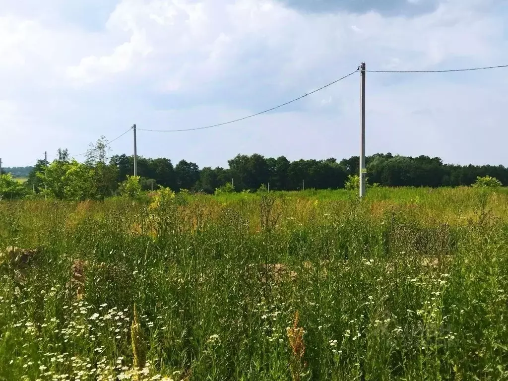Участок в Тульская область, Ясногорский район, Теляковское с/пос, д. ... - Фото 2