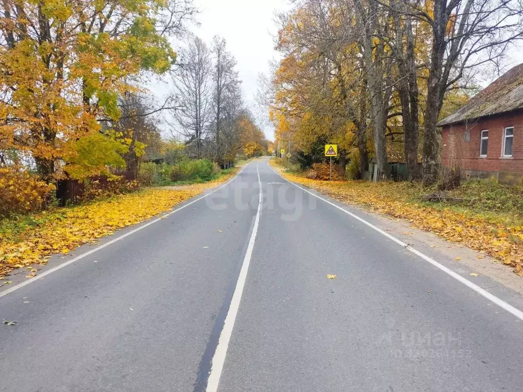 Участок в Псковская область, Плюсский муниципальный округ, д. Должицы ... - Фото 1