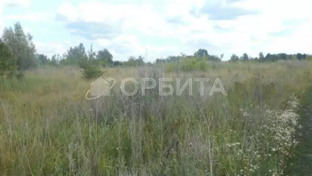 Участок в Тюменская область, Тюмень Малинка садовое товарищество, ул. ... - Фото 1