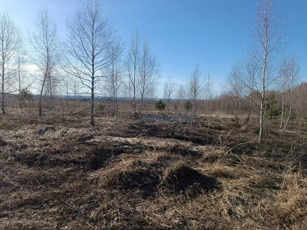 Участок в Нижегородская область, Богородский муниципальный округ, д. ... - Фото 1
