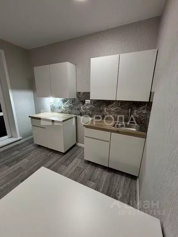 Студия Новосибирская область, Новосибирск Спортивная ул., 49 (28.4 м) - Фото 2