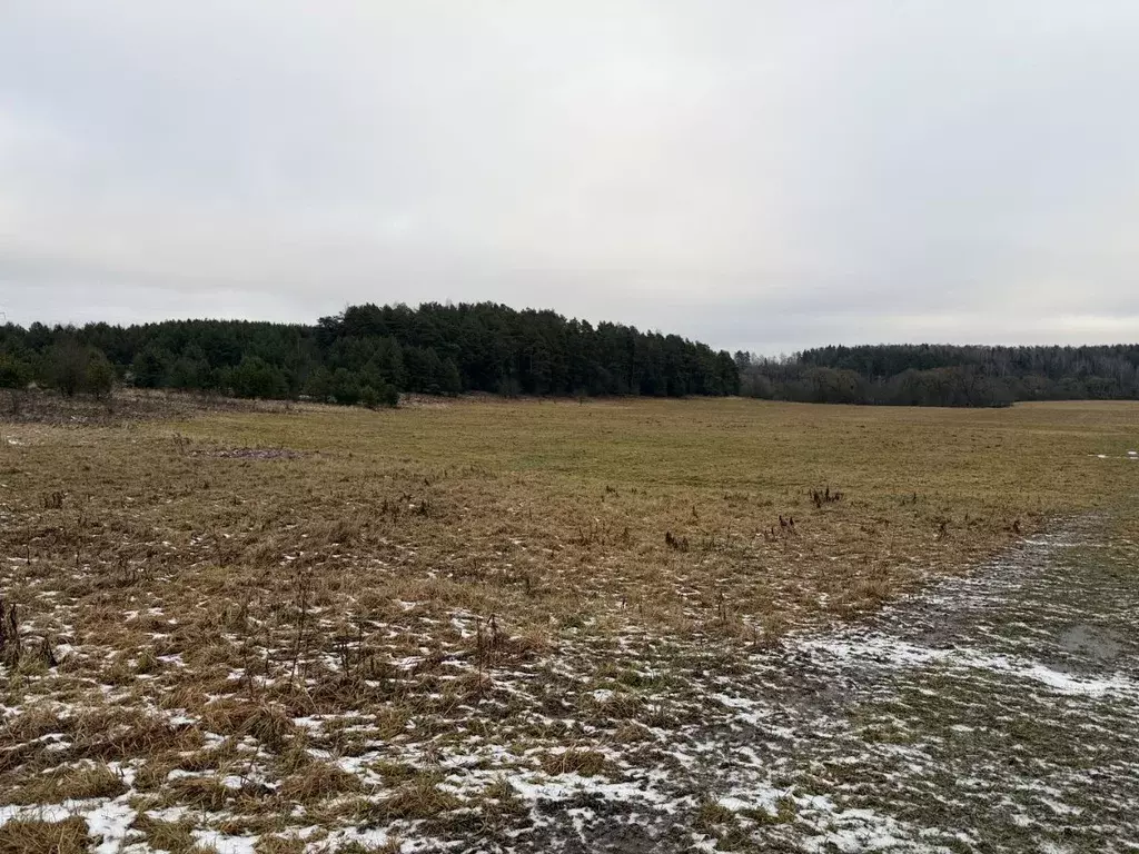 Участок в Владимирская область, Александровский муниципальный округ, ... - Фото 1