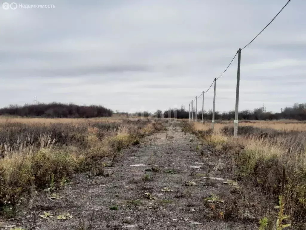 Участок в Калининградская область, Зеленоградский муниципальный округ, ... - Фото 1