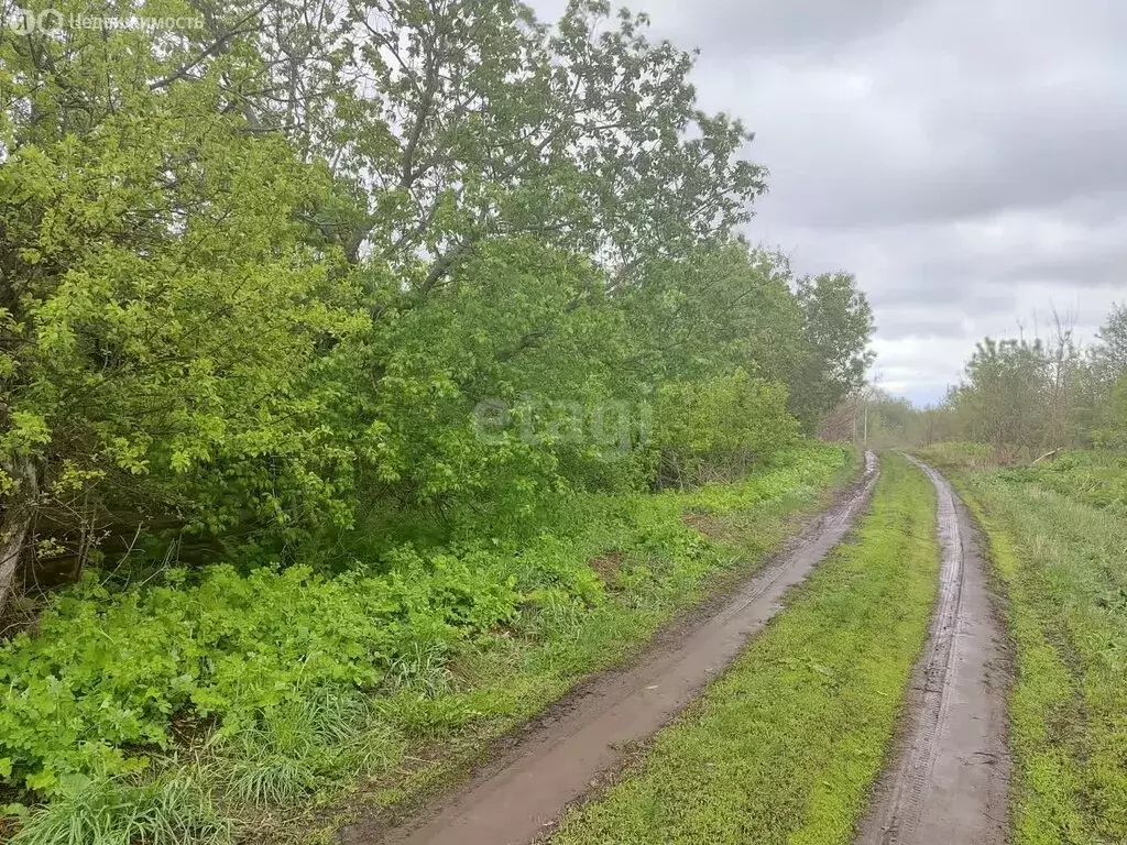 Участок в село Бряндино, Прибрежная улица (15 м) - Фото 1