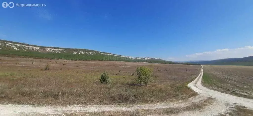 Участок в Терновский муниципальный округ, КСП Память Ленина (266 м) - Фото 1