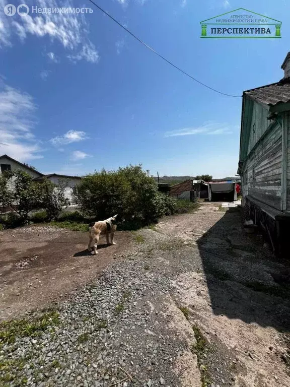 Дом в село Суражевка (47.5 м) - Фото 1