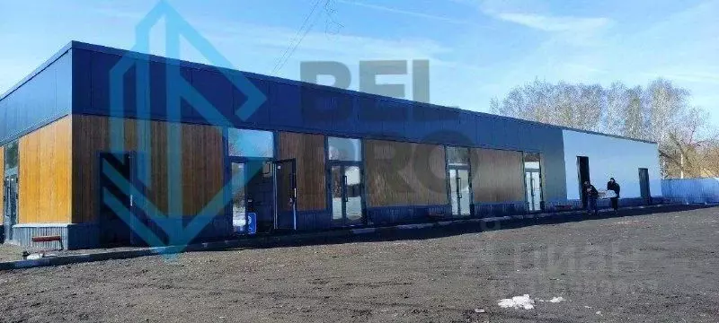 Торговая площадь в Московская область, Воскресенск Колыберевская ул., ... - Фото 1