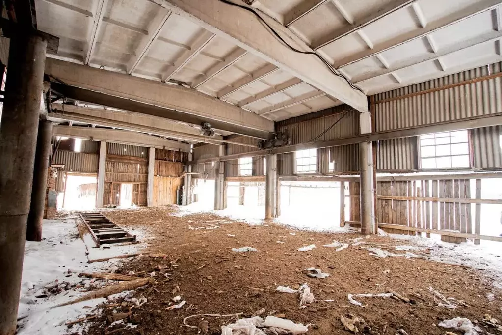 Участок в Томская область, с. Первомайское ул. Больничная (51.84 сот.) - Фото 2