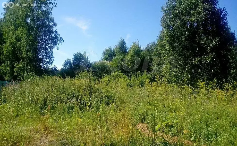 Участок в Тюменский район, деревня Решетникова (8 м) - Фото 0