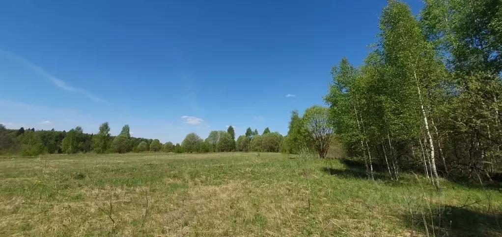 Участок в Московская область, Наро-Фоминский городской округ, д. ... - Фото 1
