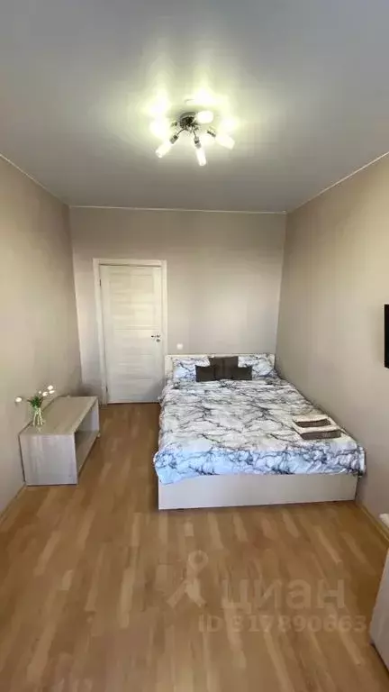 1-к кв. Санкт-Петербург пос. Шушары, пер. Вилеровский, 6 (56.0 м) - Фото 1