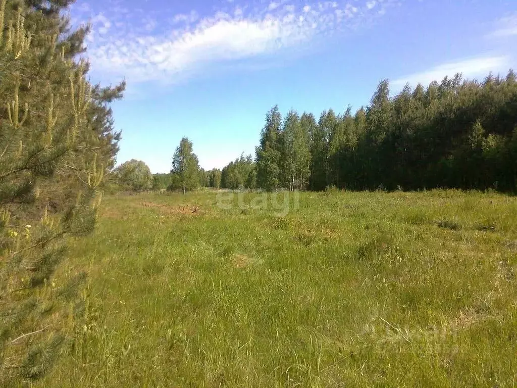 Участок в Калужская область, Юхновский муниципальный округ, ... - Фото 1