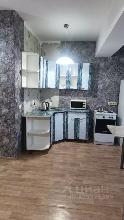 1-к кв. Иркутская область, Иркутск Ново-Ленино мкр, Березовый мкр, 119 ... - Фото 1