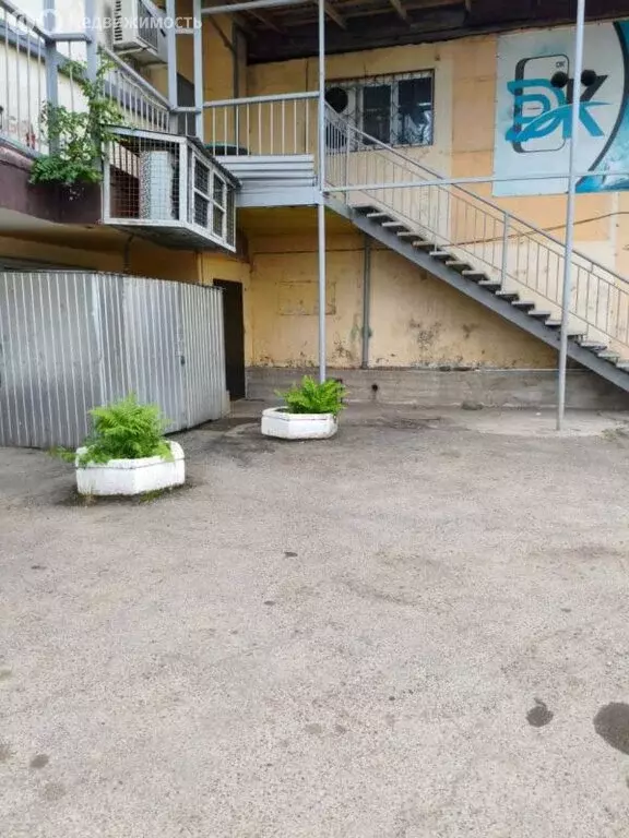 Помещение свободного назначения (235.6 м) - Фото 2