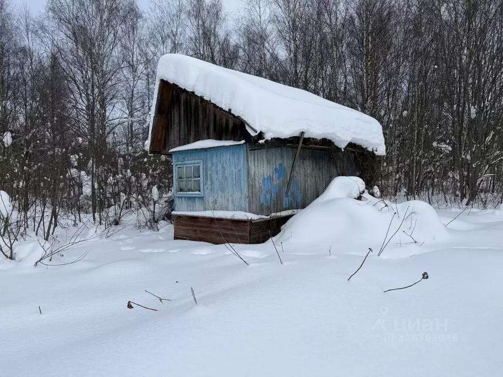 Дом в Владимирская область, Александровский муниципальный округ, ... - Фото 1