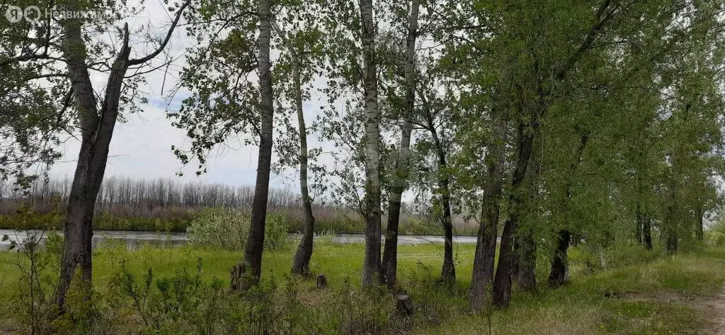 Участок в Тюменский муниципальный округ, село Борки (72 м) - Фото 1