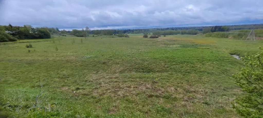 Участок в Московская область, Солнечногорск городской округ, д. ... - Фото 0