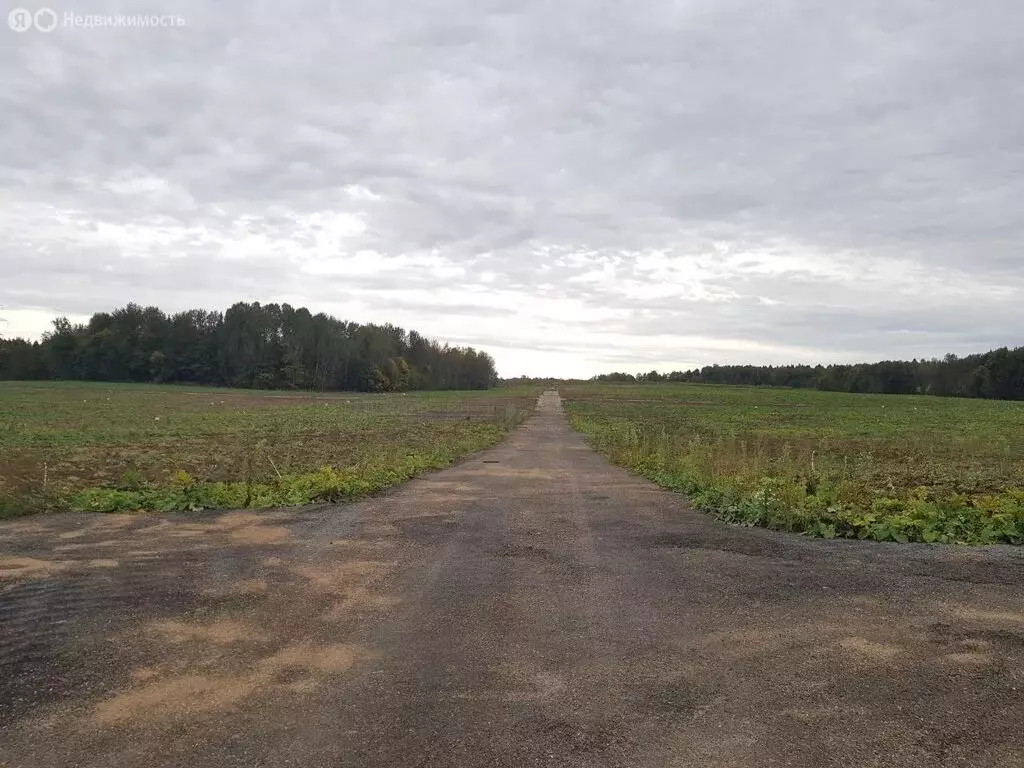 Участок в Московская область, городской округ Клин, коттеджный поселок ... - Фото 1