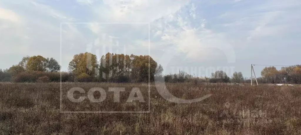 Участок в Воронежская область, с. Новая Усмань, Отрада СНТ ул. Речная, ... - Фото 2