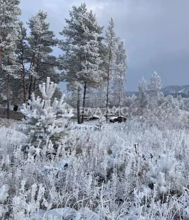 Участок в Бурятия, Улан-Удэ Октябрьское ДНТ, ул. Петербужская, 135 ... - Фото 1
