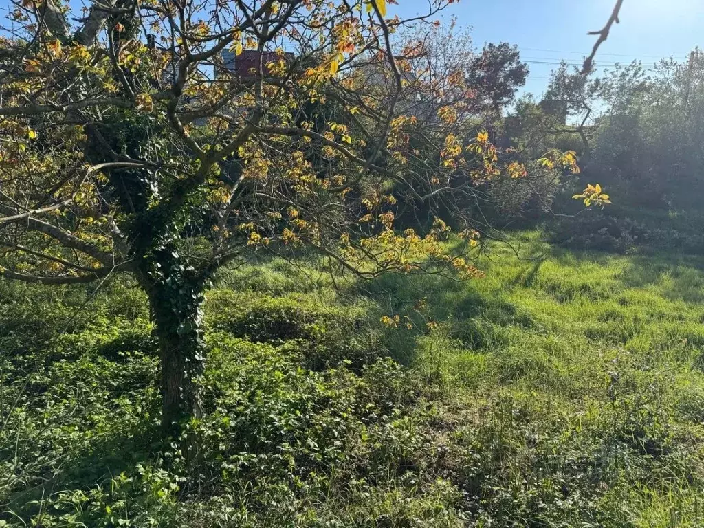 Участок в Севастополь ул. Ленина (11.0 сот.) - Фото 2