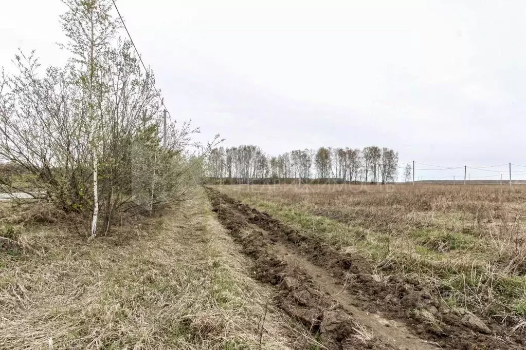 Участок в Тюменская область, Нижнетавдинский район, Деревня Малый хут. ... - Фото 1