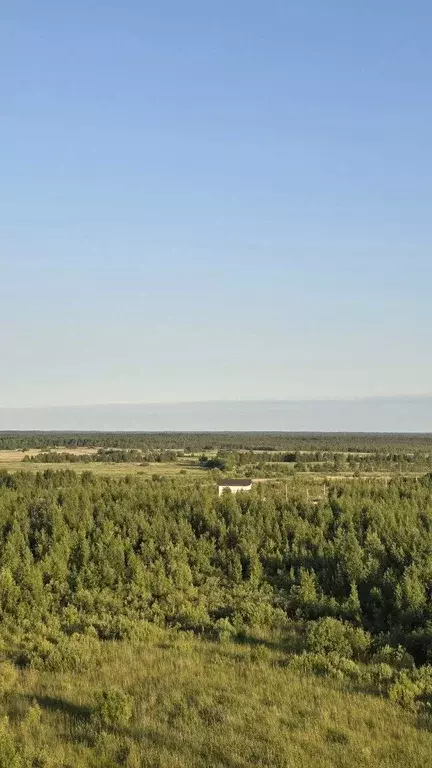 Продаётся квартира-студия, 24.9 м - Фото 1
